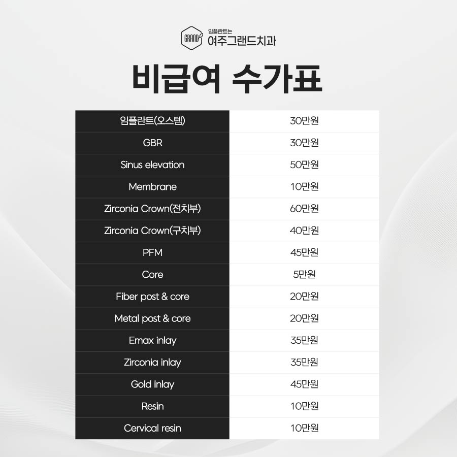 비급여 수가표